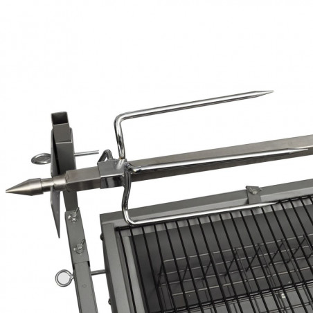 Rotisserie iron and stainless steel
