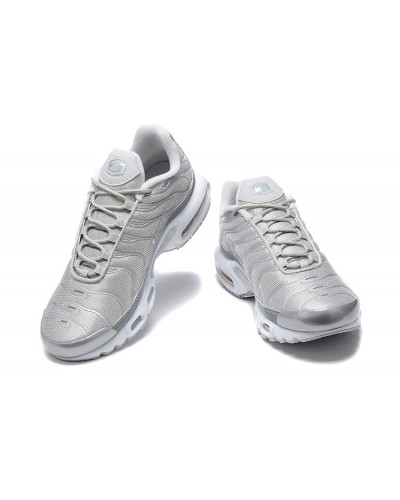 Nike Air Max Plus Metallic Silver